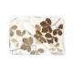 Rovere, Set Tovaglia  Tov.Li 145X250 Cm  8 Tov.Li
